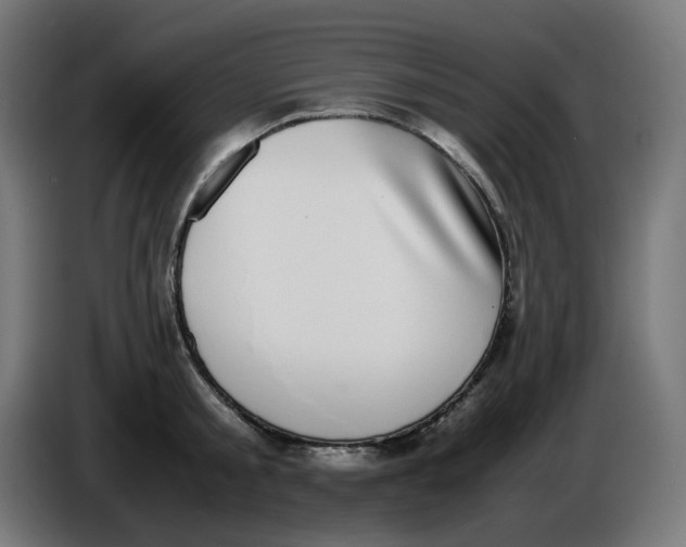 X0000086110805200704132208