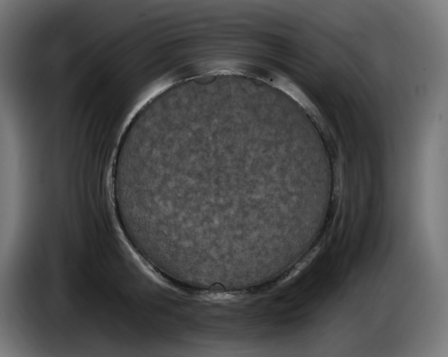 X0000086110806200704132208