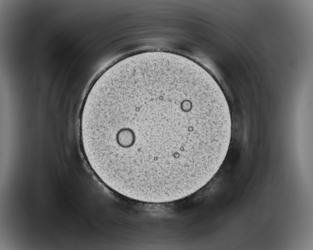 X0000086110807200704132208