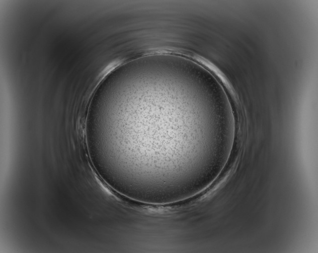 X0000086110809200704132208