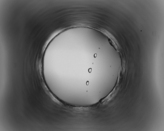 X0000086110812200704132208