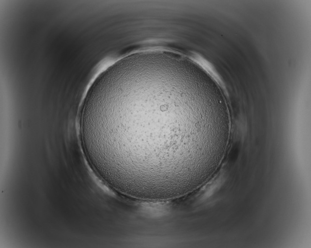 X0000086110813200704132208