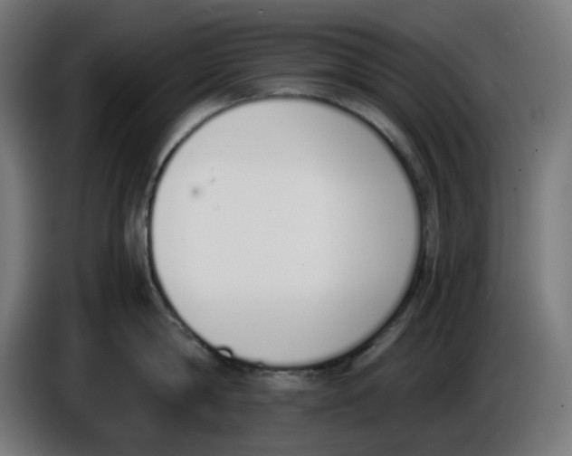 X0000086110814200704132208