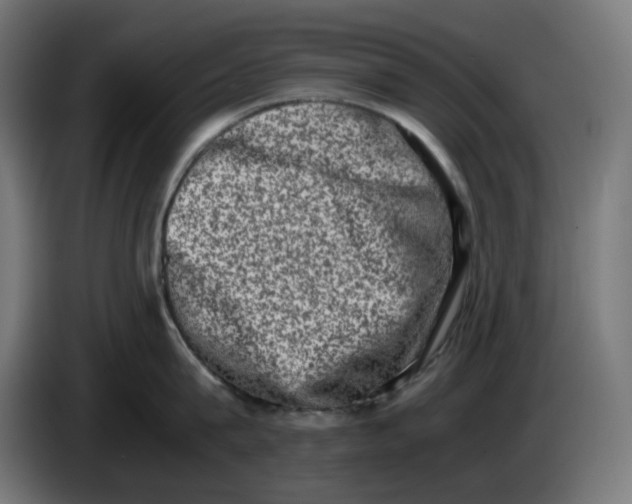 X0000086110815200704132208