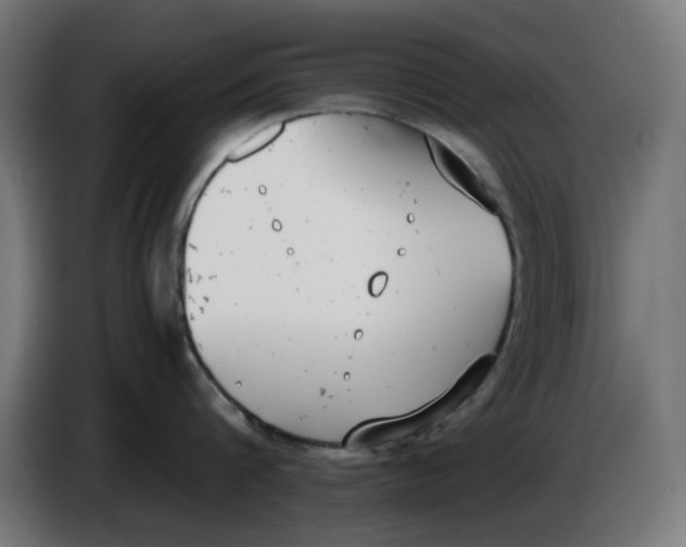 X0000086110816200704132208