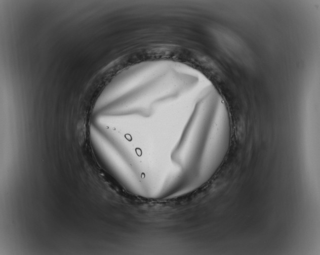 X0000086110821200704132207