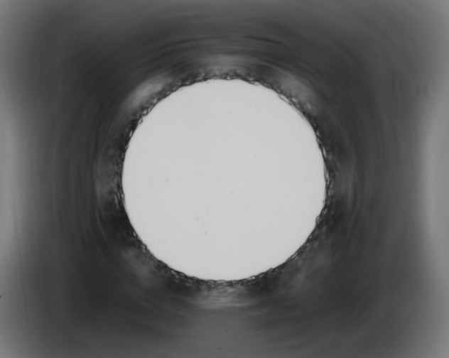 X0000086110824200704132207