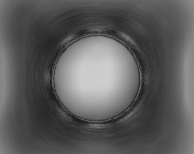 X0000086110825200704132207