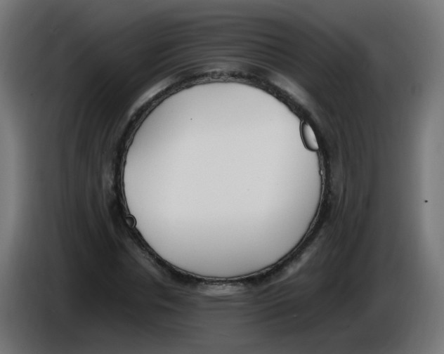 X0000086110826200704132207