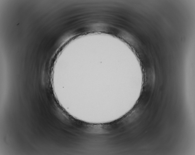 X0000086110828200704132207