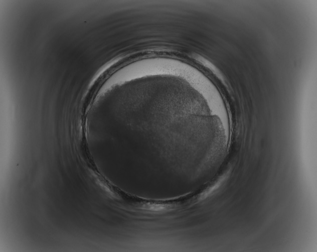 X0000086110829200704132207