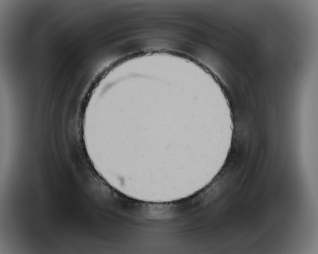 X0000086110832200704132207