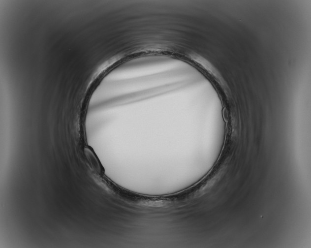 X0000086110834200704132207