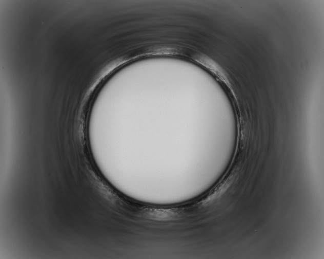 X0000086110835200704132207