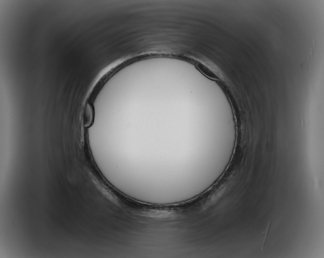 X0000086110838200704132207