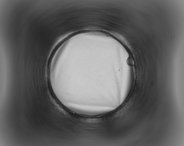 X0000086110839200704132207