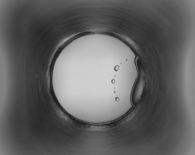 X0000086110840200704132207