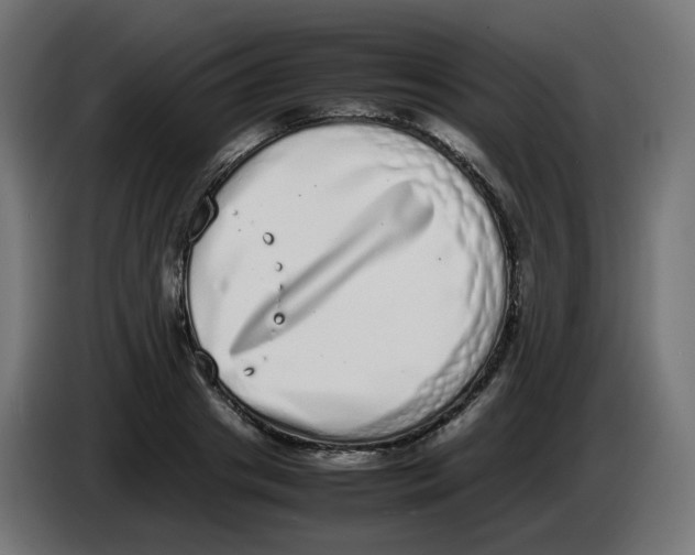 X0000086110841200704132207