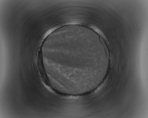 X0000086110842200704132207