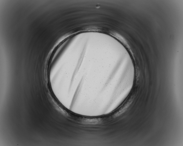 X0000086110843200704132207