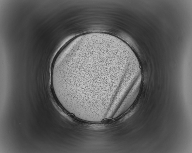 X0000086110844200704132207