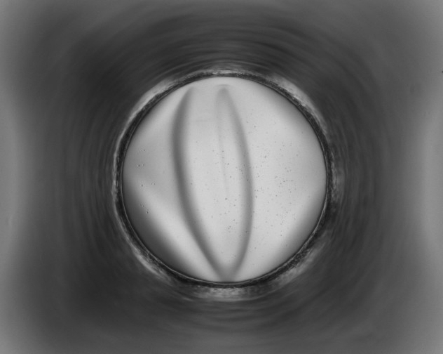 X0000086110845200704132207