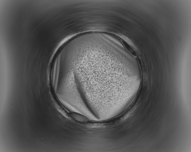 X0000086110846200704132207