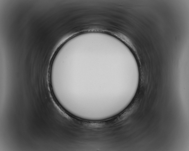 X0000086110847200704132207