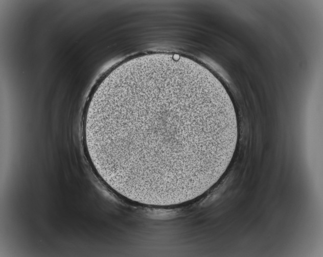 X0000086110848200704132207