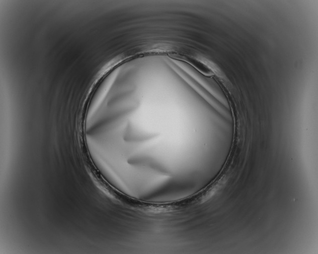 X0000086110850200704132207