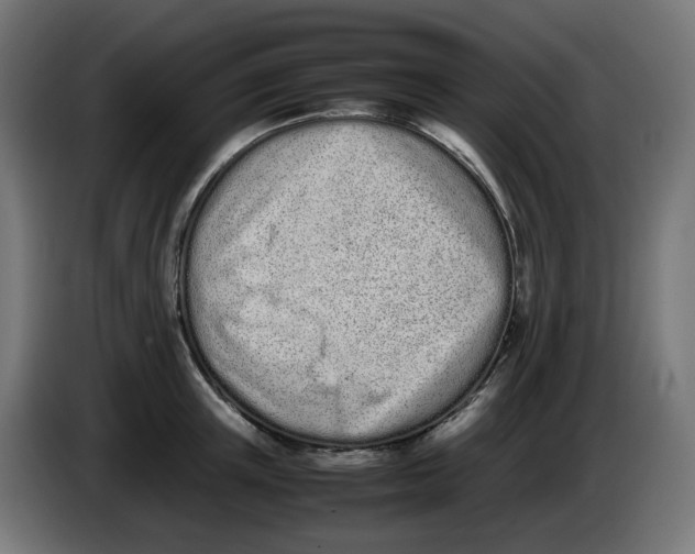 X0000086110851200704132207