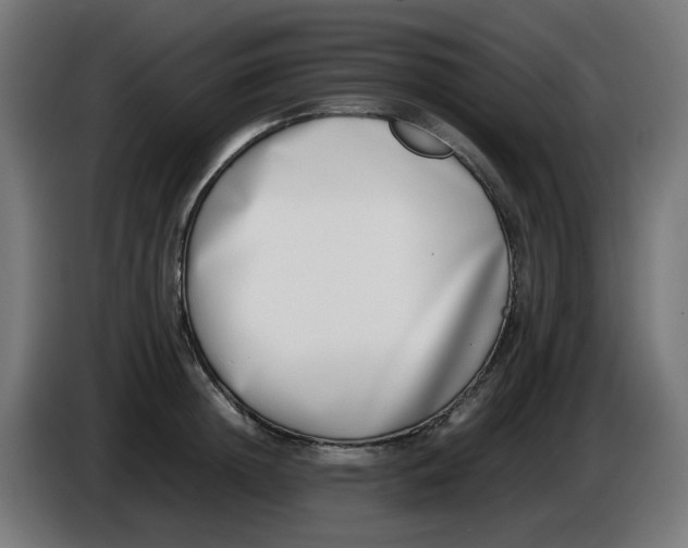 X0000086110852200704132207