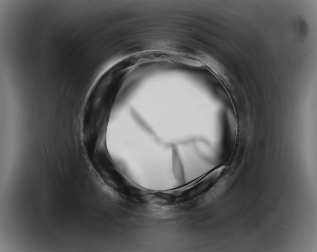 X0000086110854200704132207