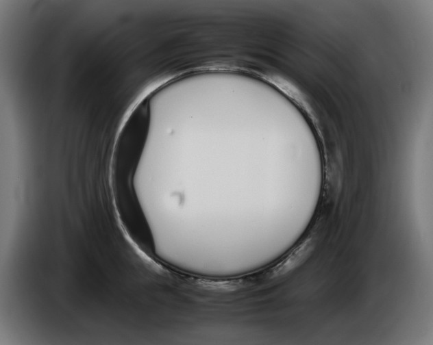 X0000086110855200704132207