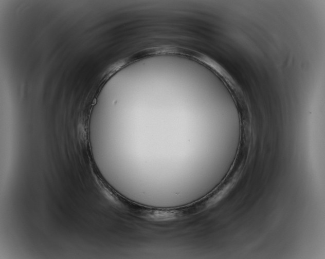 X0000086110857200704132207