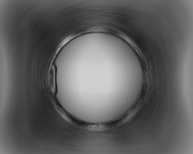 X0000086110858200704132207