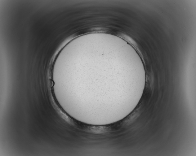 X0000086110859200704132207