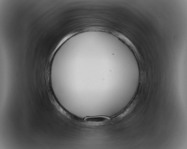 X0000086110860200704132207