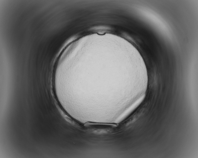 X0000086110861200704132207