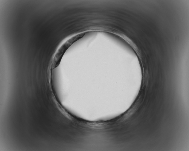 X0000086110862200704132207