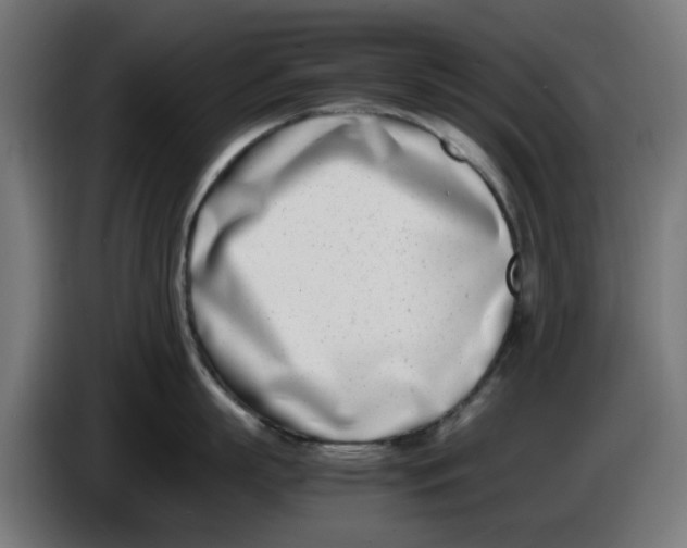 X0000086110863200704132208