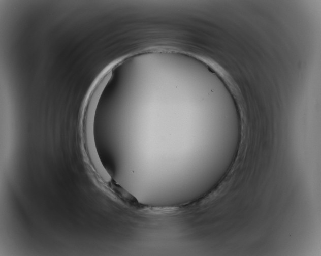 X0000086110864200704132208