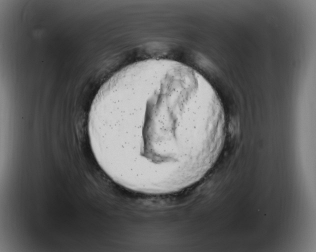 X0000086110867200704132207