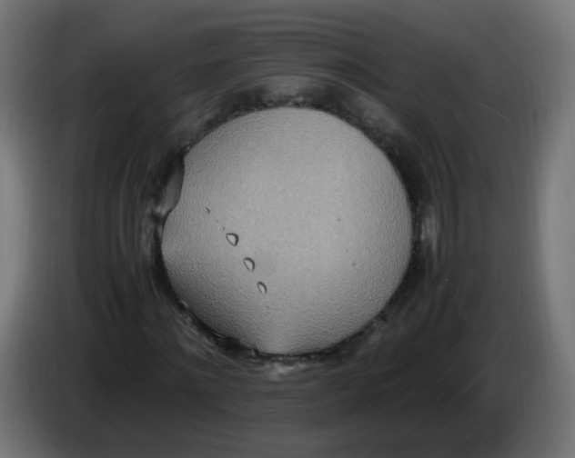 X0000086110868200704132207