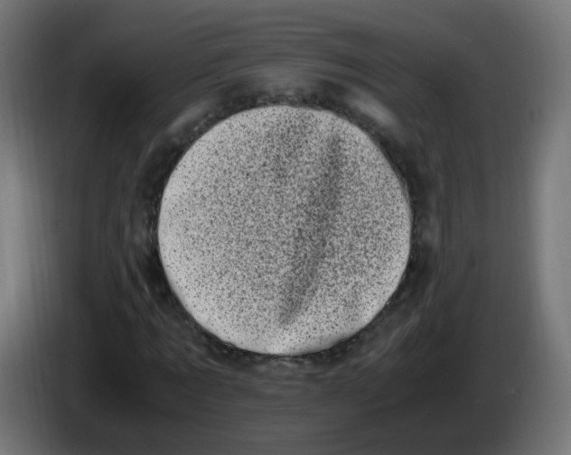 X0000086110869200704132207