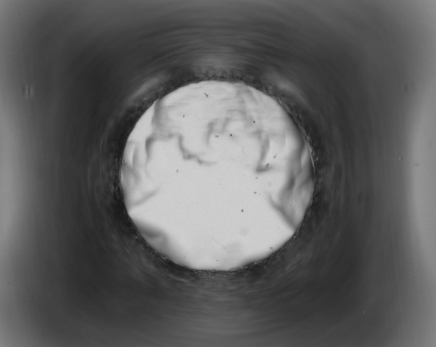 X0000086110870200704132207