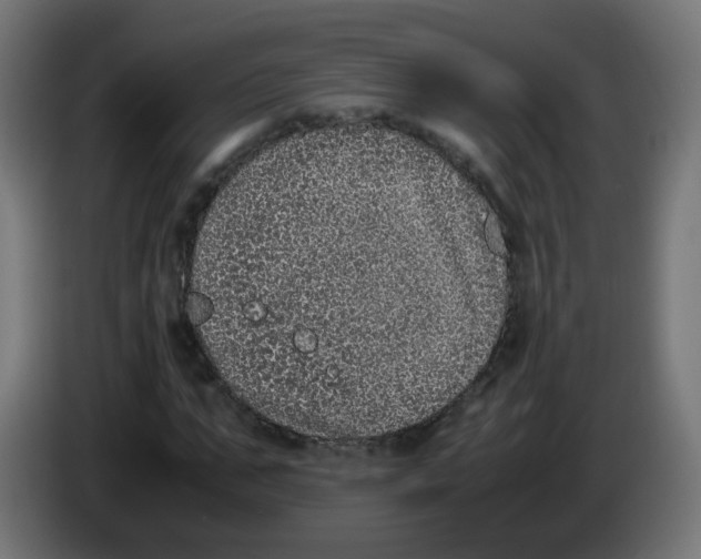 X0000086110871200704132207