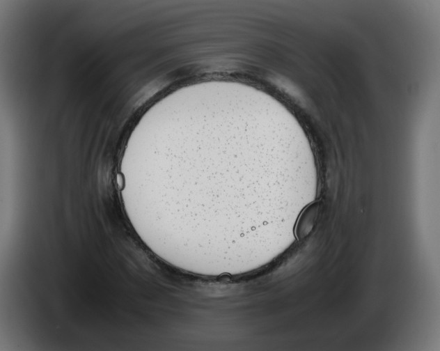 X0000086110873200704132207