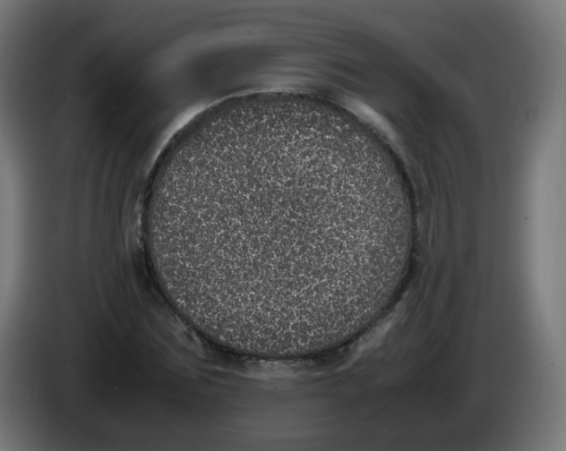 X0000086110875200704132207