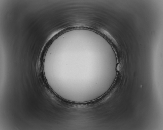 X0000086110876200704132207